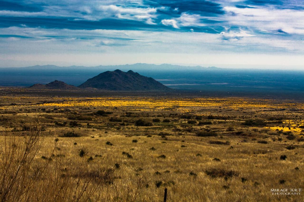 The Perfect Place . . . Here It Is! Las Cruces Luaran gambar